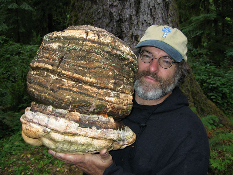 Paul Stamets, micologo americano, con un fungo Agarikon (Laricifomes officinalis)